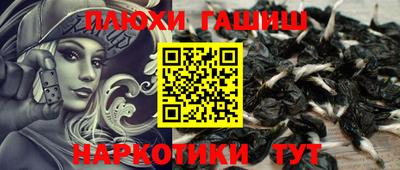 молекула духа Михайловка