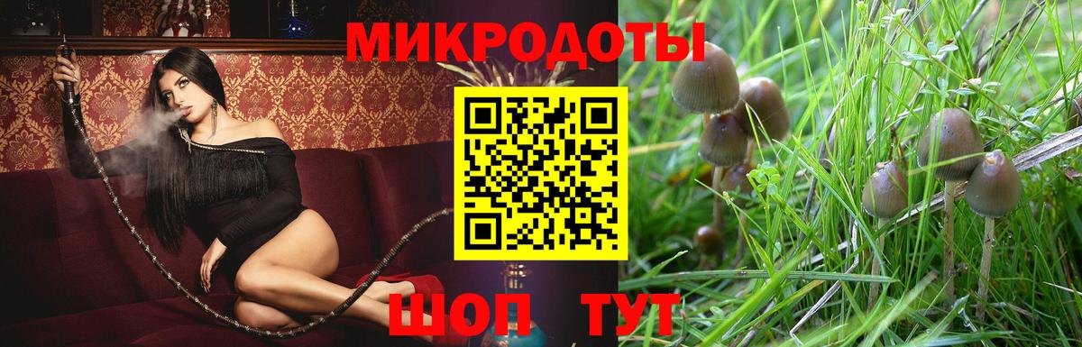 Галлюциногенные грибы мицелий  Вход с VPN  Псилоцибиновые грибы ЛСД  Миасс 